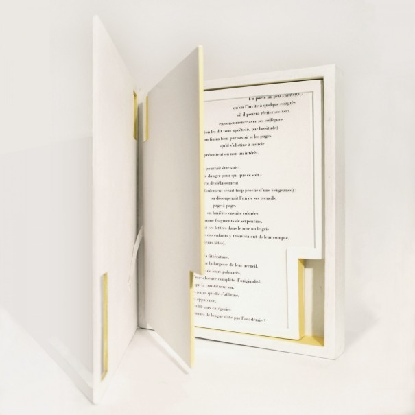 Livre 6 édition Virgile, Paris 2015 - carton, acrylique - 30 x 25 x 3,5 cm - © photo : Virginia Torres