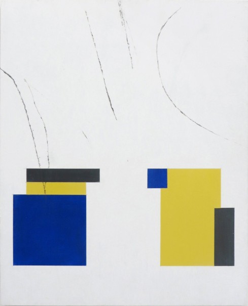Ter PP couleur rect 2012 5 - acrylique sur dibond - 62,5 x 50 cm - © photo : Virginia Torres